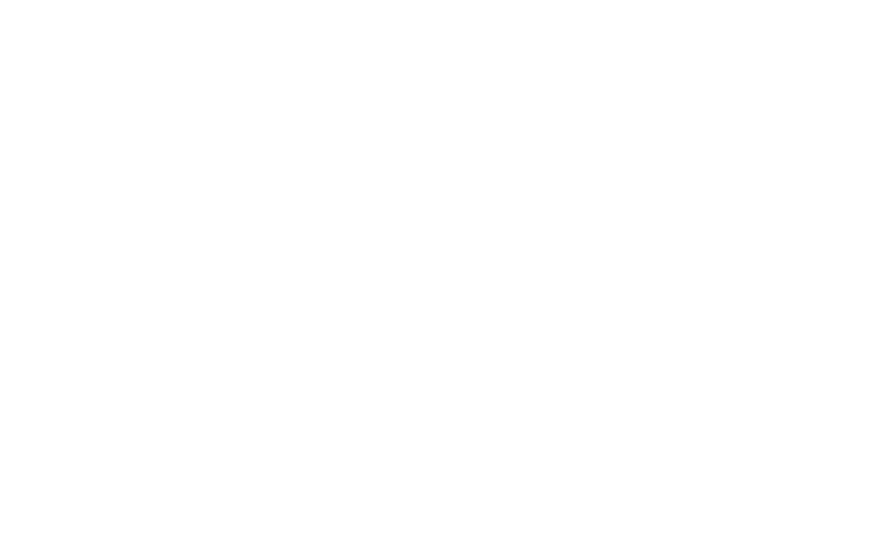 Escola Superior Náutica Infante D. Henrique partner logo